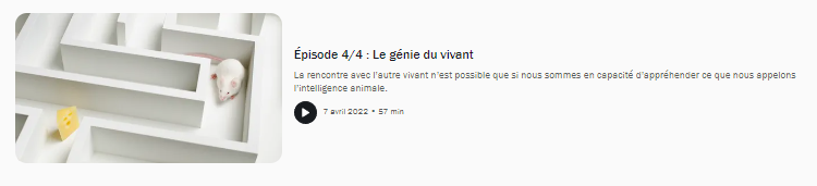 Les programmes d'été sur France Culture  - Page 38 3d10