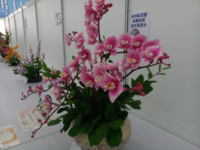 香港維園花卉展(20P) 2019年03月15日至24日 Img-2012