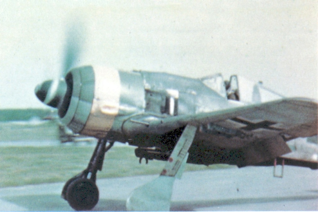 Messerschmitt Bf 109G-10 Erla  Stab I./KG(J) 6 Focke_56