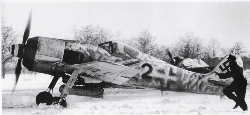 FOCKE WULF 190 F.8  Hongrie 1944        KIT EDUARD 1/72 Focke_57