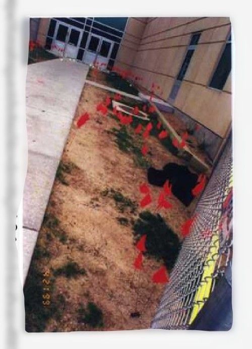 Pictures of the Columbine massacre I hadn't seen before 6f818812