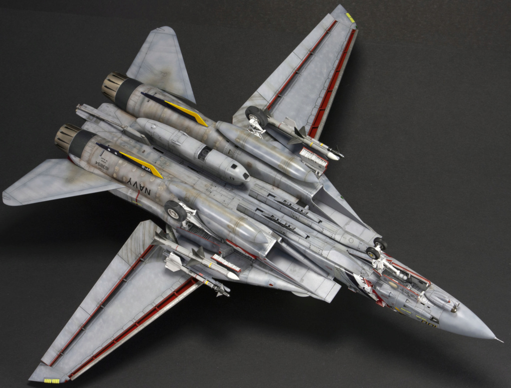 F-14D 1/48 Tamiya _mg_7816