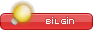 Bilgin