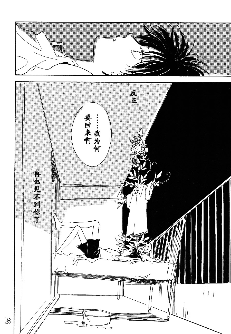 【漫画】月光盗贼/野火ノビタ《我没有蔷薇就活不下去》 Img23073