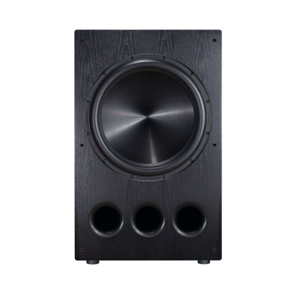 Rythmik FV18 Direct Servo subwoofer 18″ Rythmi12