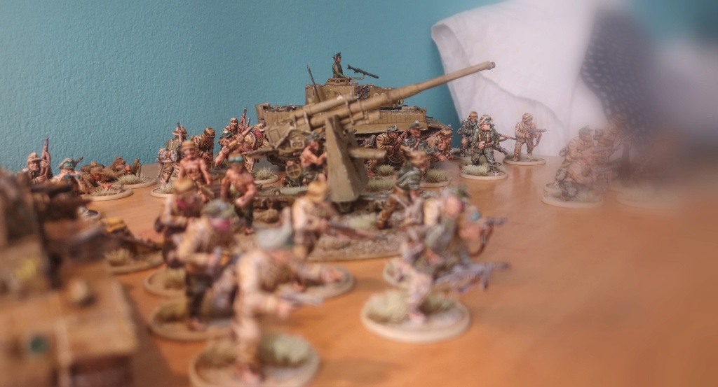 Afrika korps du petit nouveau.  Img_2015