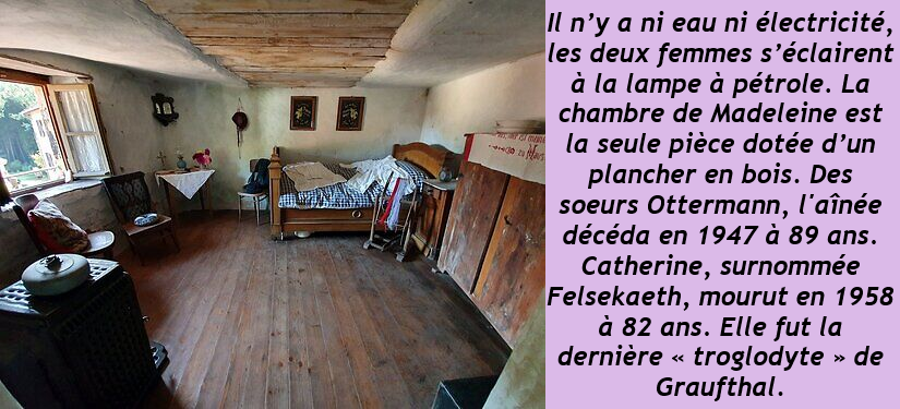 => Alsace Département 67/68 - Les maisons des rochers Image832