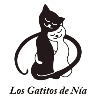 Los Gatitos de Nía 28204410