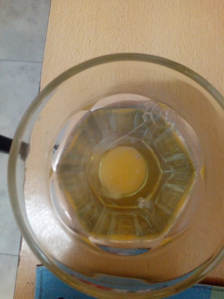 Necesito ayuda con la interpretacion del vaso de agua con un huevo. Img-2011