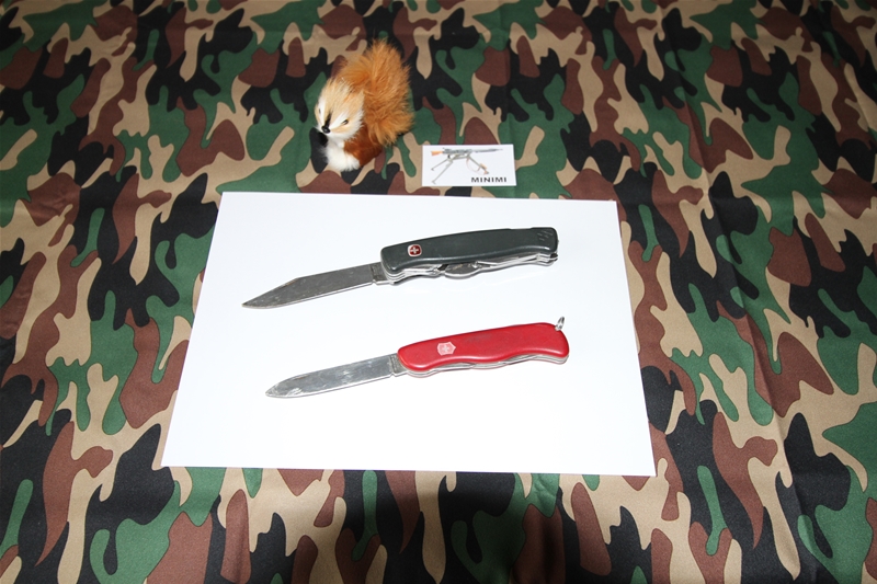 Ma modeste collection de couteaux Img_0142