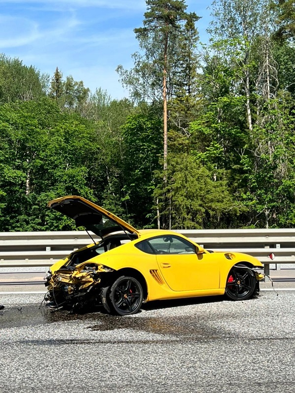 Camaro & Corvette 20090616