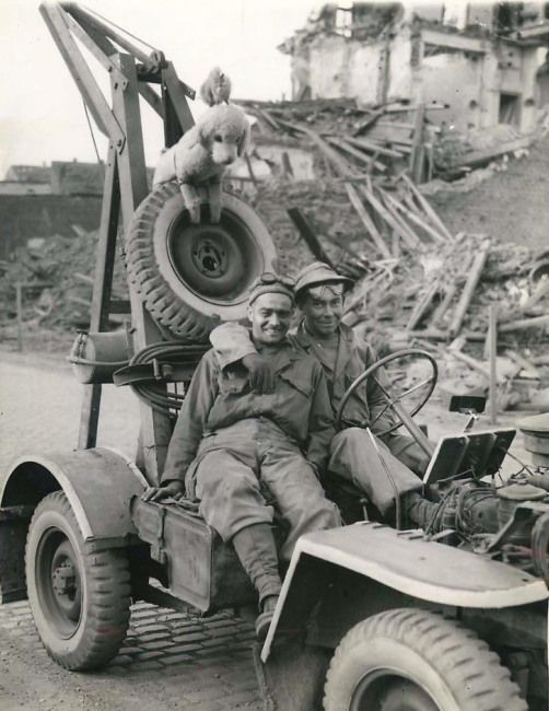 Une Jeep de manutention. 1945_u10