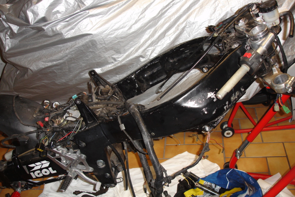 ZXR 750 "ENDURANCE" Dsc00210