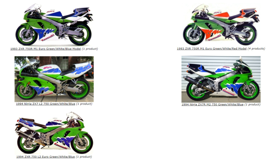 ZXR 750  "ENDURANCE" - Page 5 Les_zx10