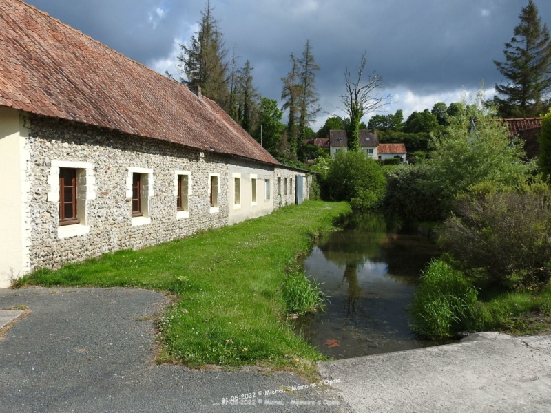 [Enquin-sur-Baillons] Vallée de La Course, le 31 mai 2022 -05554