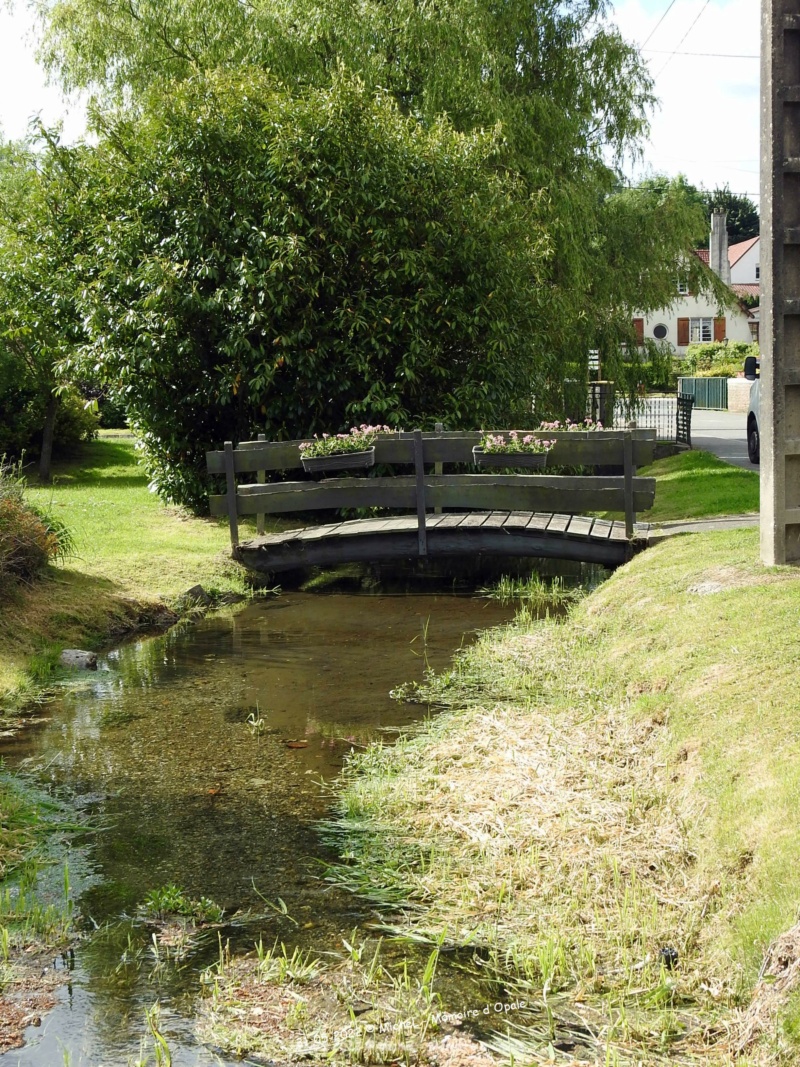 [Enquin-sur-Baillons] Vallée de La Course, le 31 mai 2022 -05756