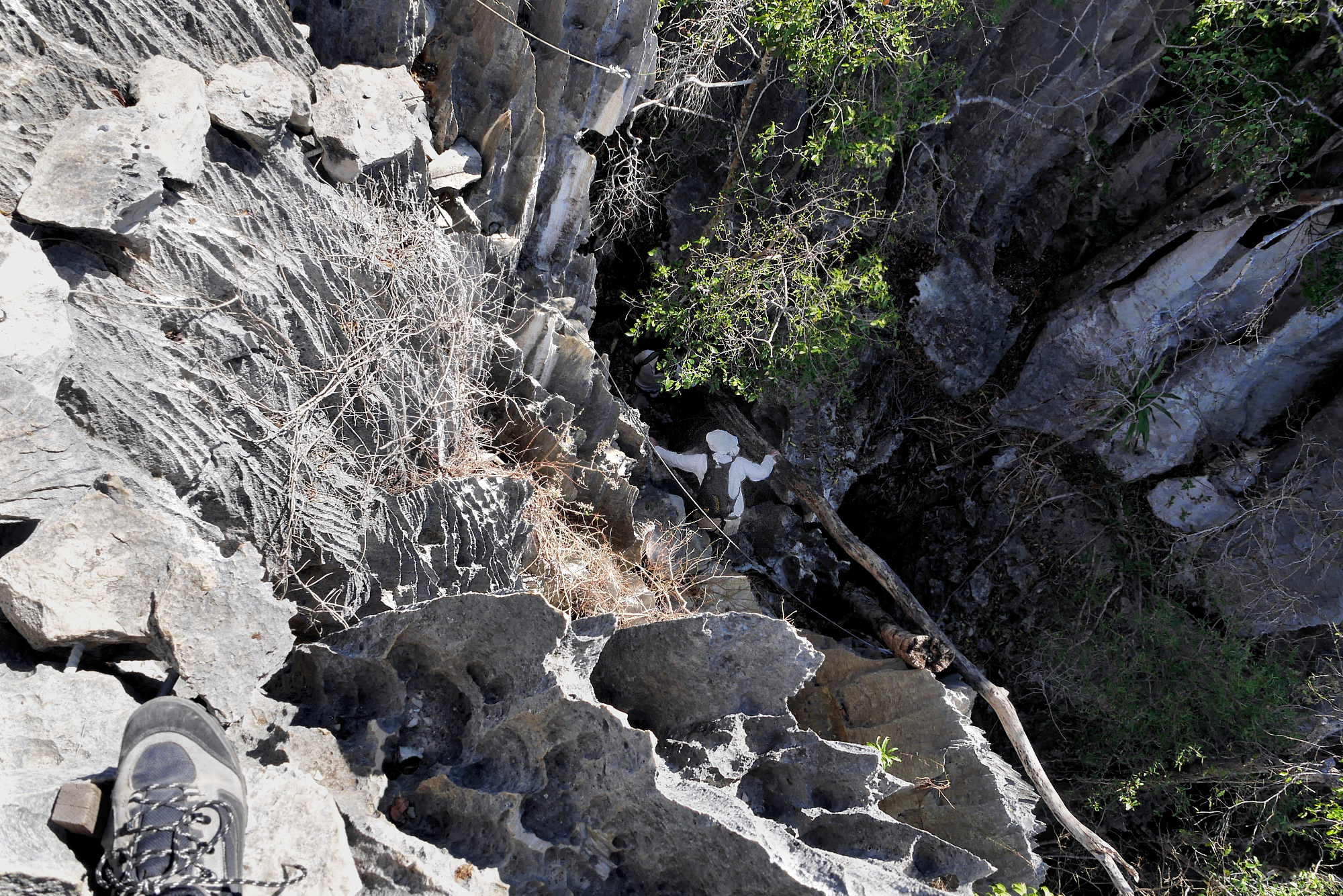 [Série]  ☞ Ballade et via ferrata dans les tsingy de Bemaraha 035_p110