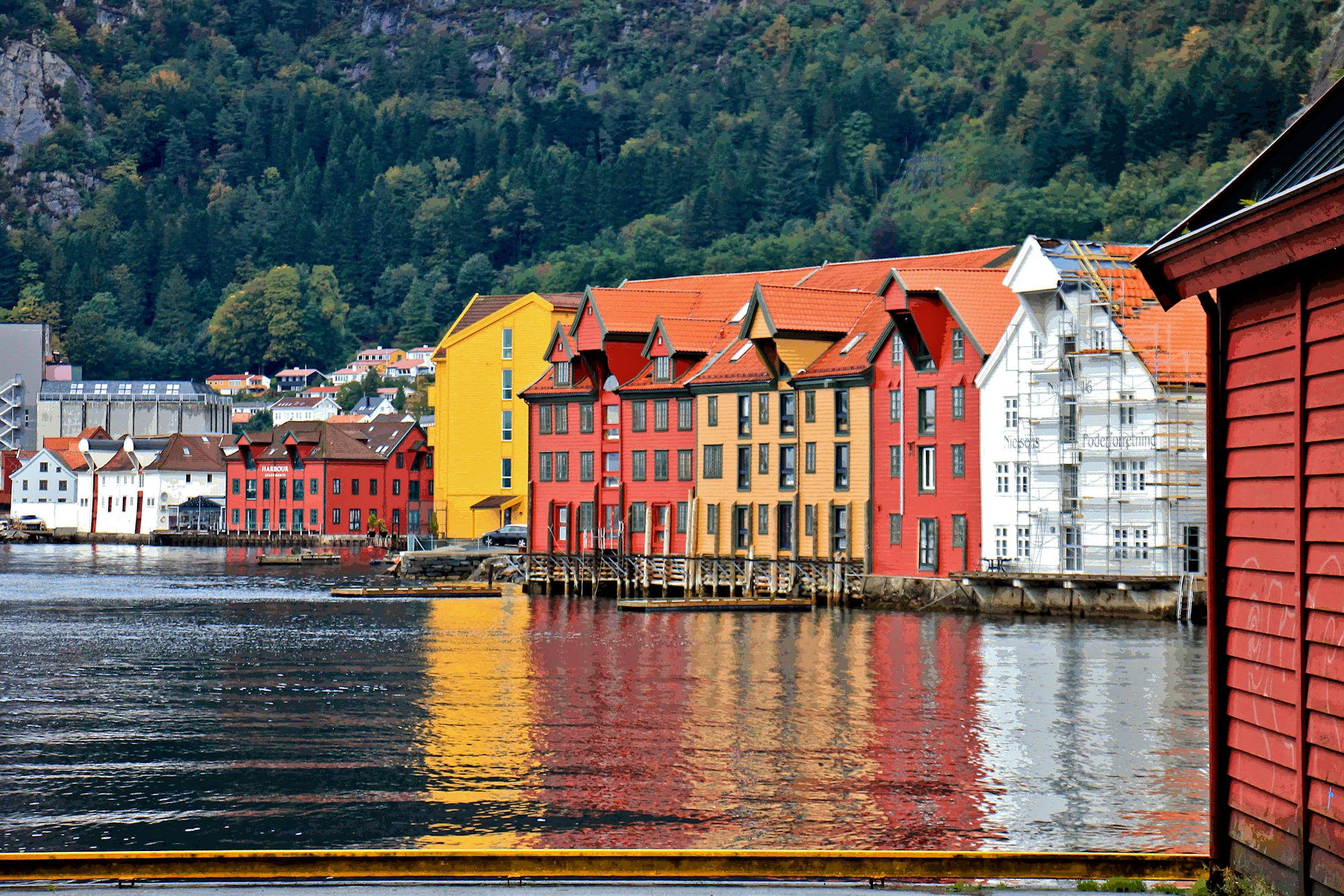 Une ville toute en couleur : Bergen (Norvége) Img_0211