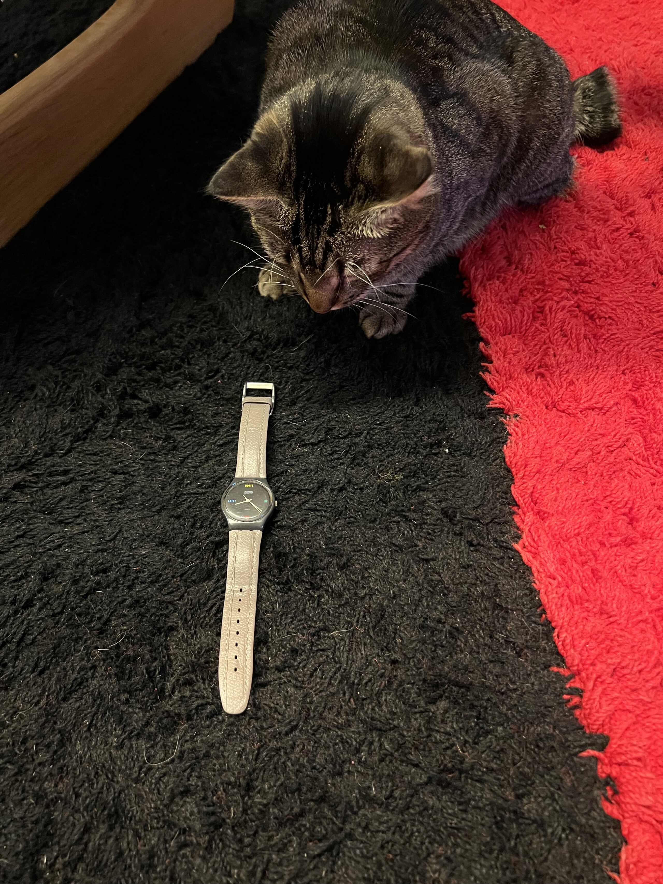 SWATCH, Vraiment jetable? - Page 2 Img_5614