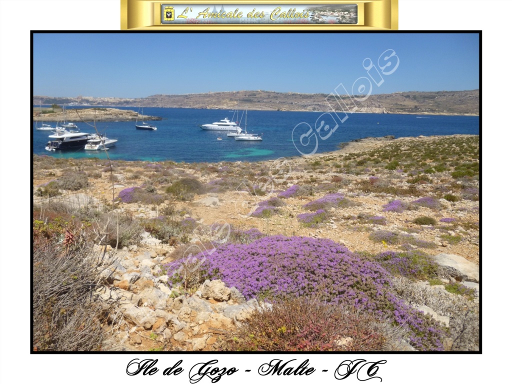 Ile de Gozo Comino18