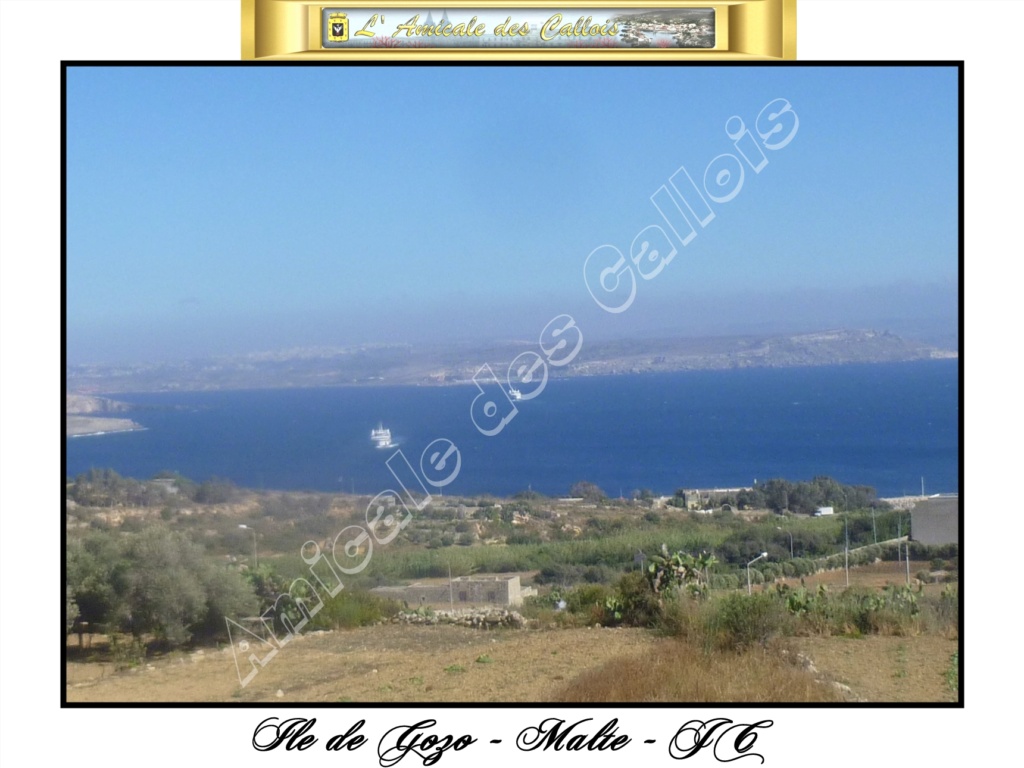 Ile de Gozo Gozo_117