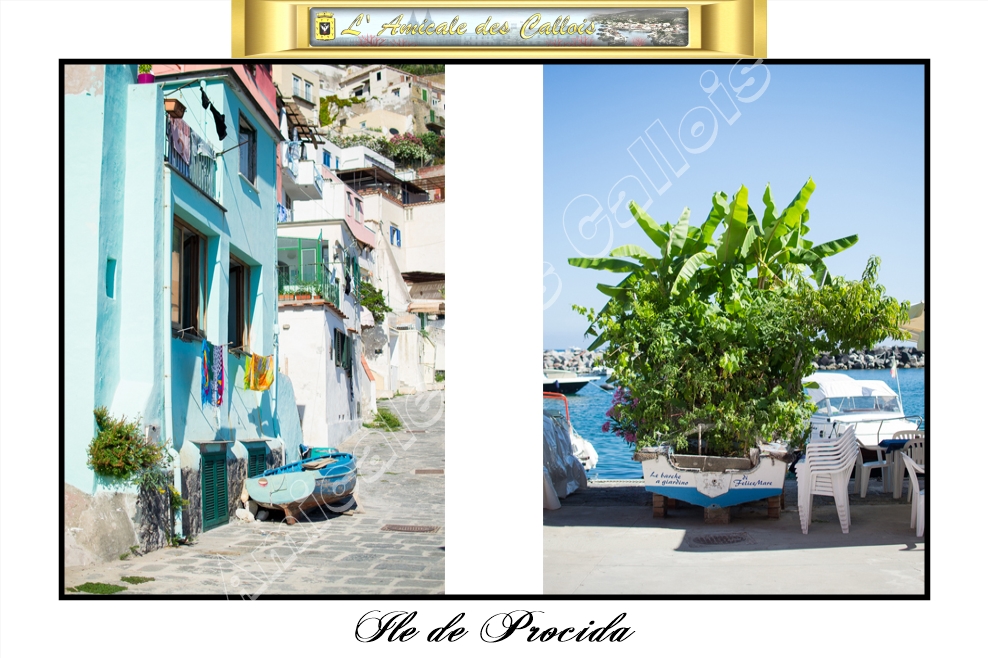 Ile de Procida Procid10