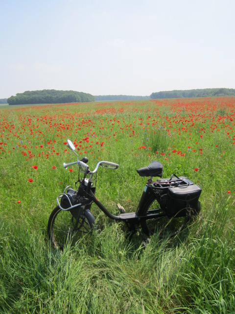 Solex Img_1811