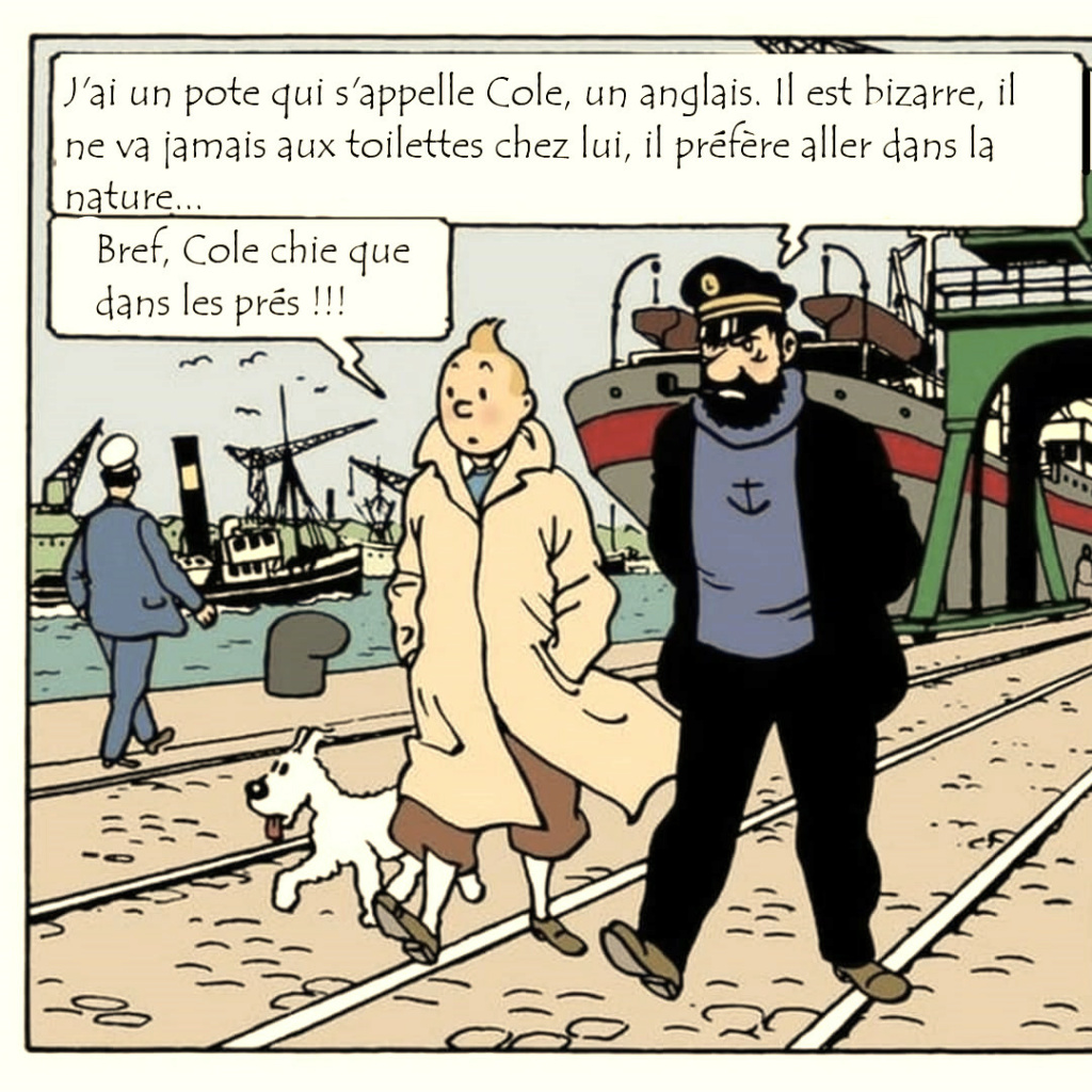 LA blague du jour ^^ - Page 32 Tintin10