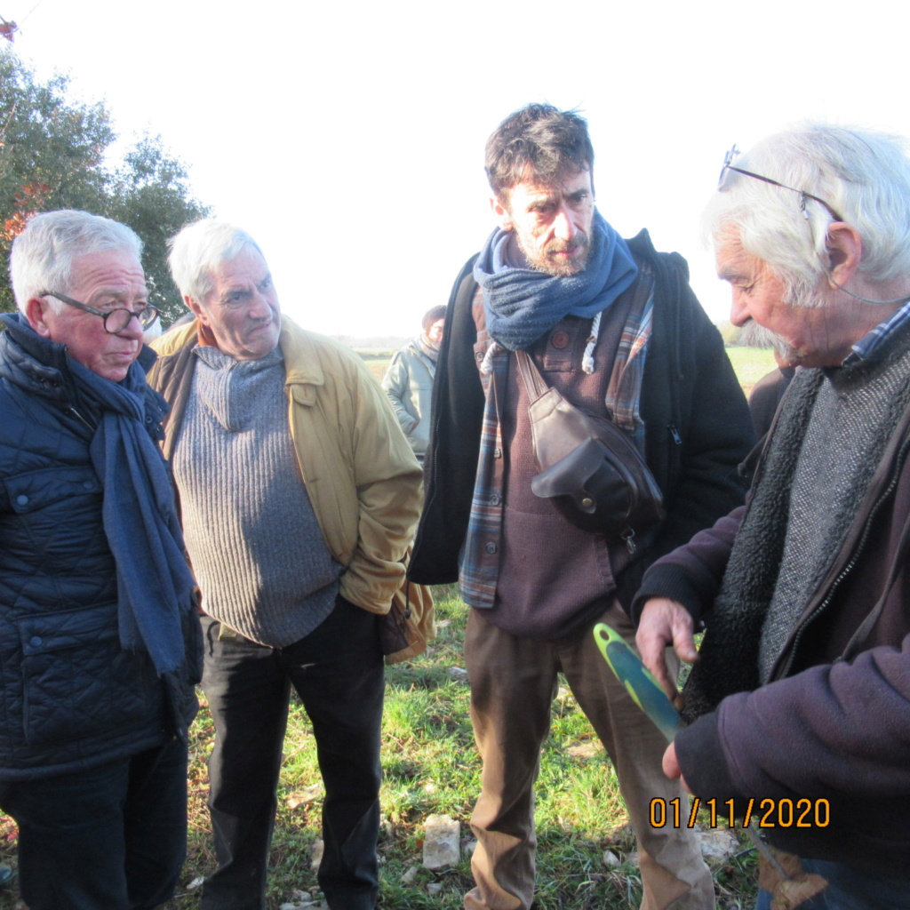 Séance de cavage dans une truffière dans la région de Loudun (86) Img_3020