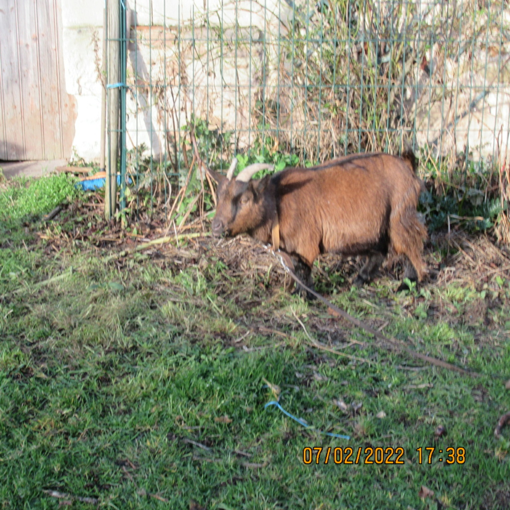 LES COMPAGNONS DE DADIEL - Page 33 Img_7554