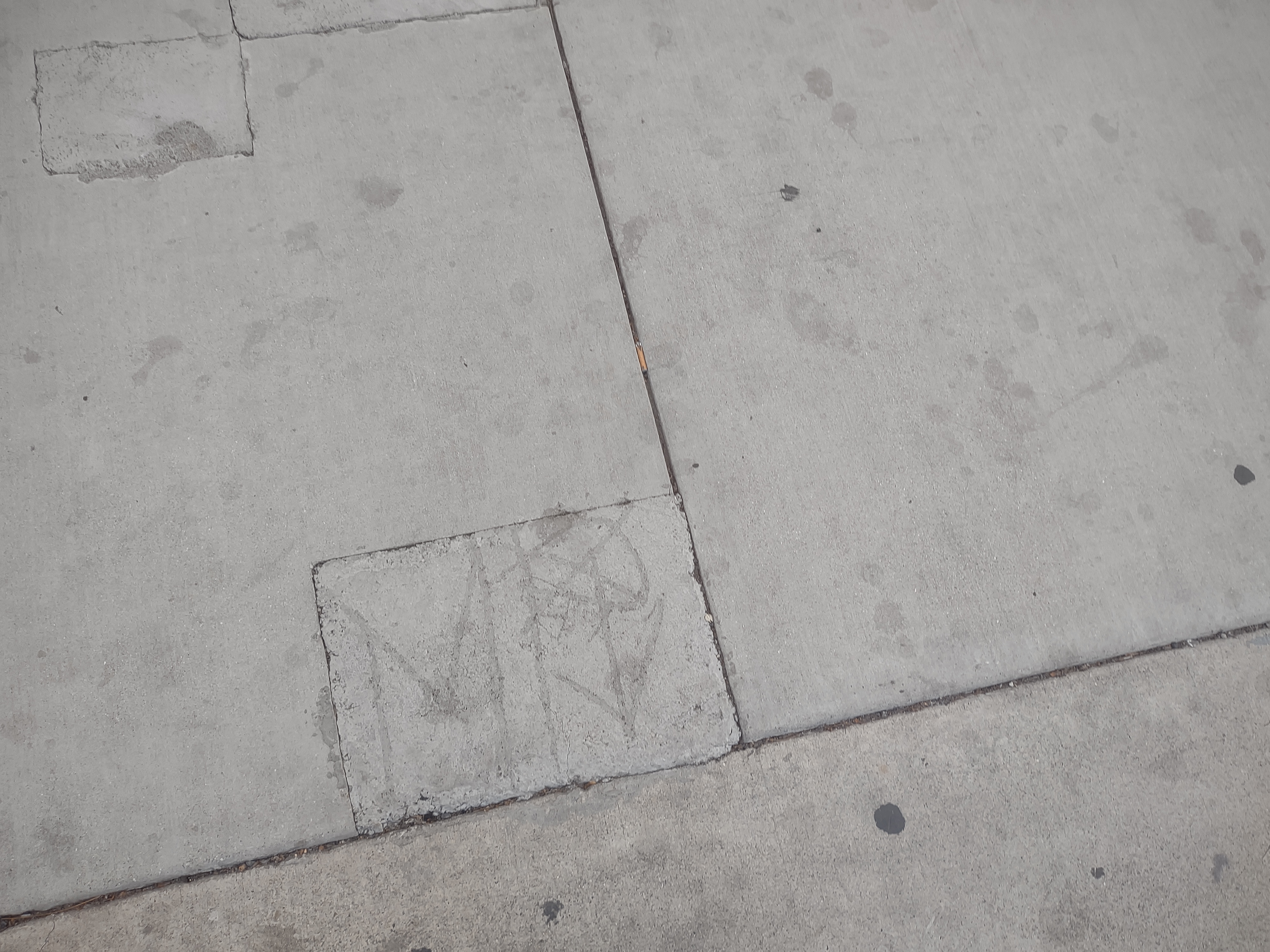 Mona park compton crip ( sidewalk ) Img_1048