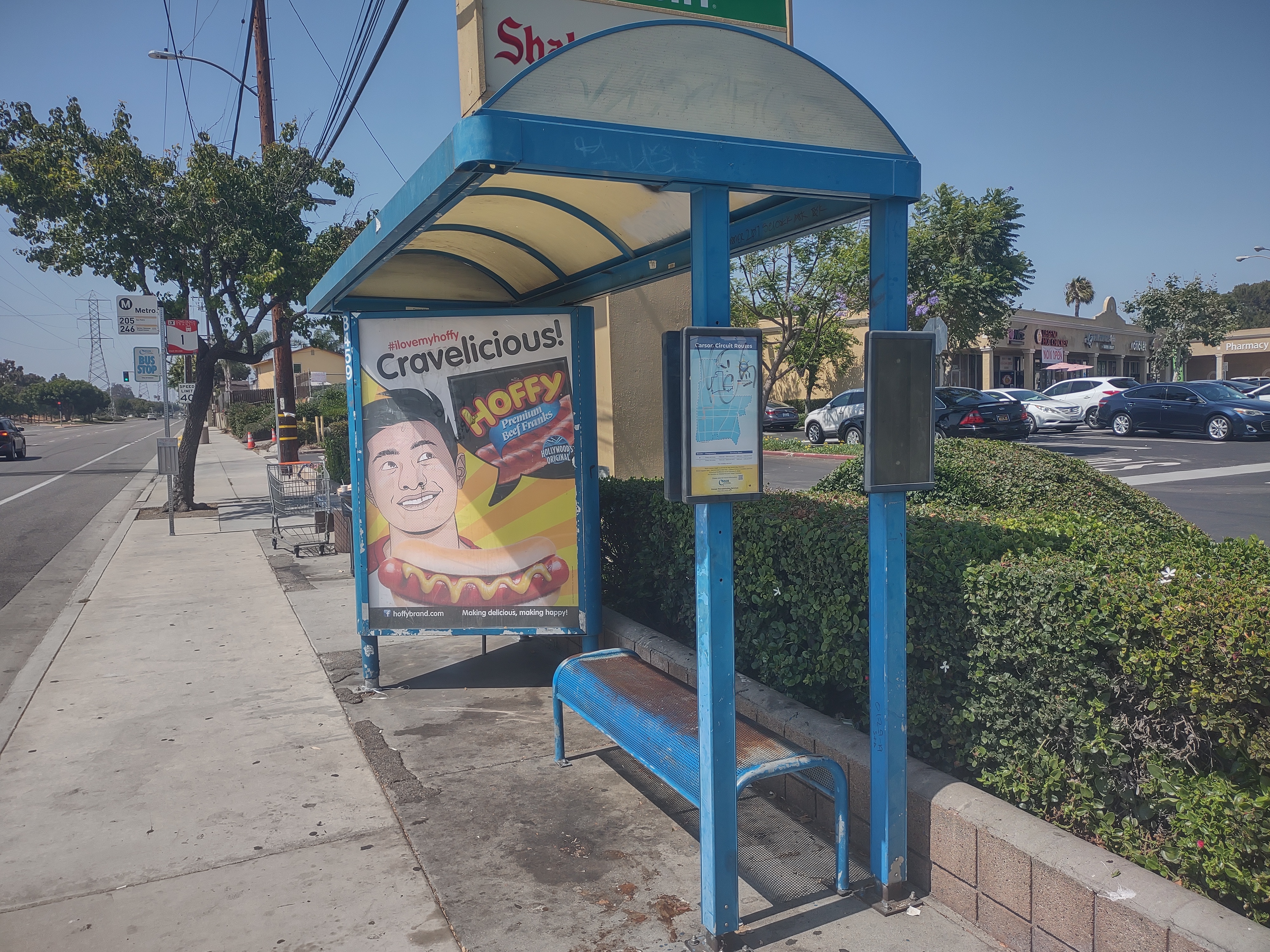 Bus stops  Img_2556