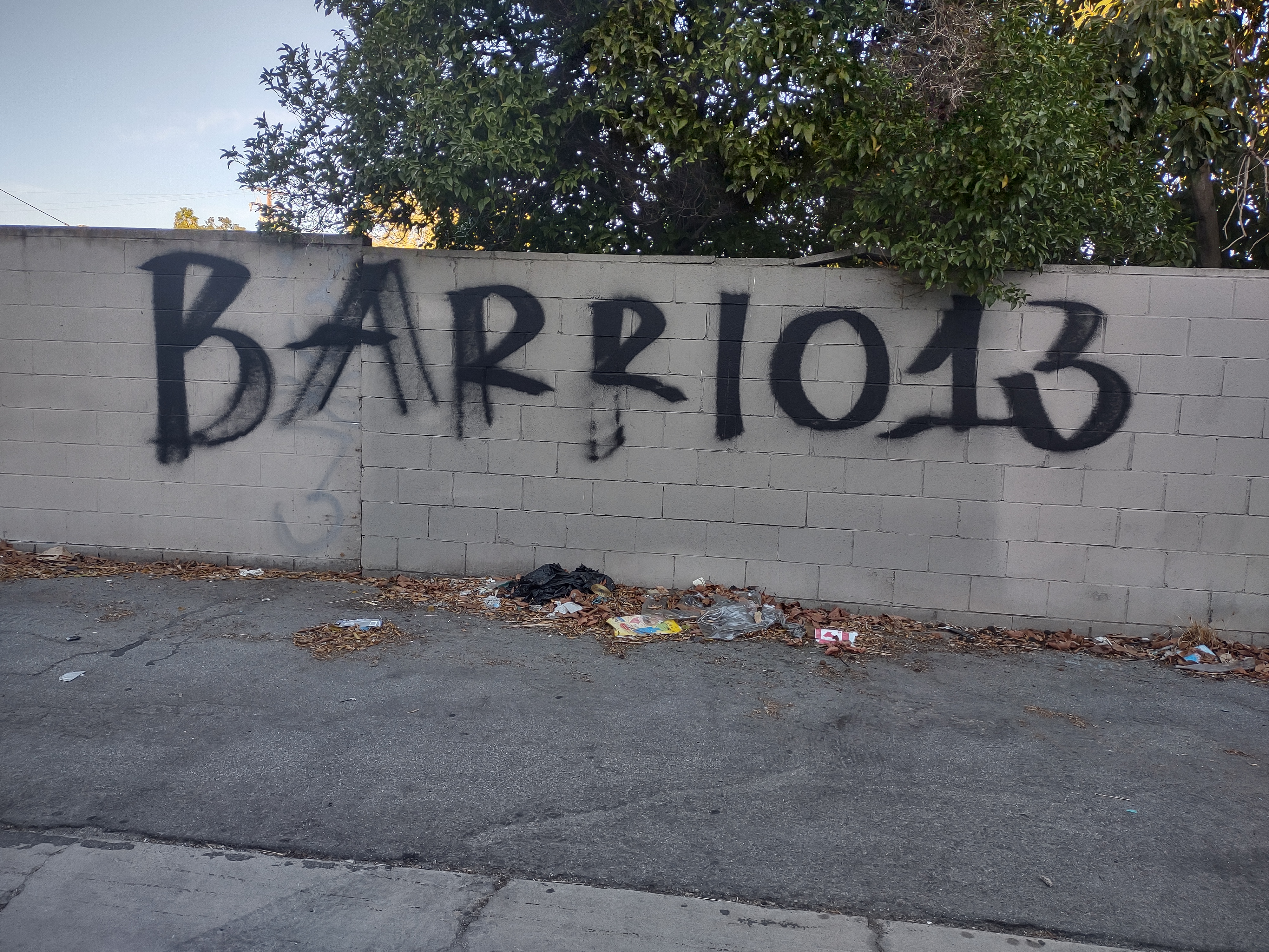 Barrio 13 ( B13 ) Img_2948
