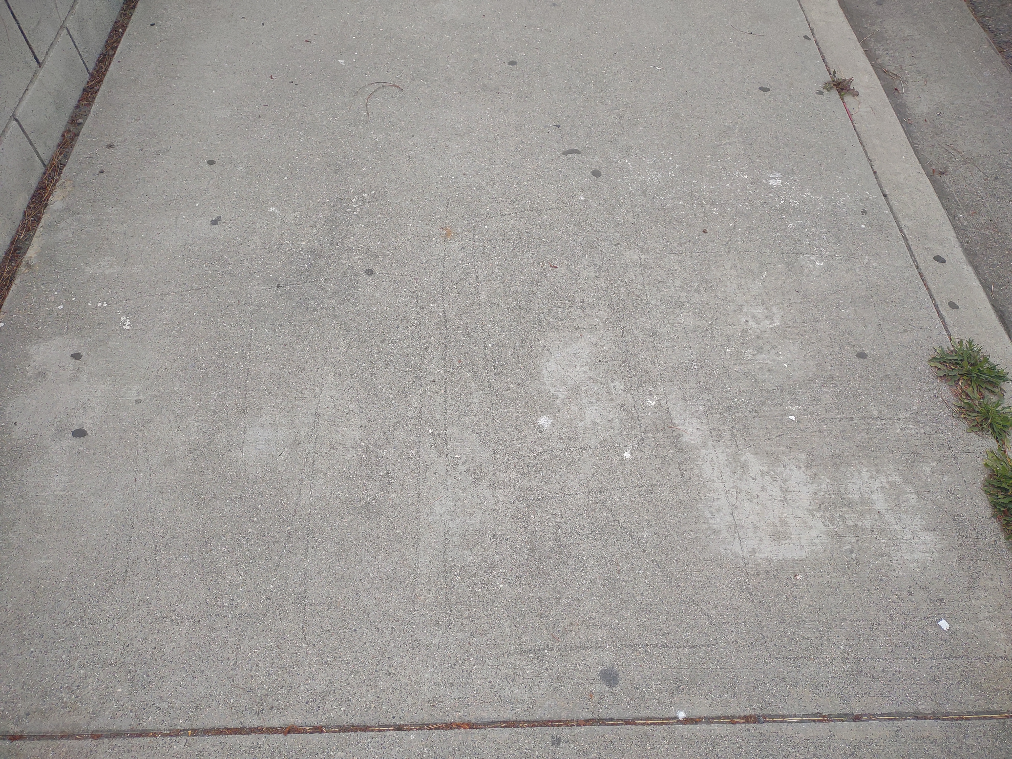 Mona park compton crip ( sidewalk ) Img_3013