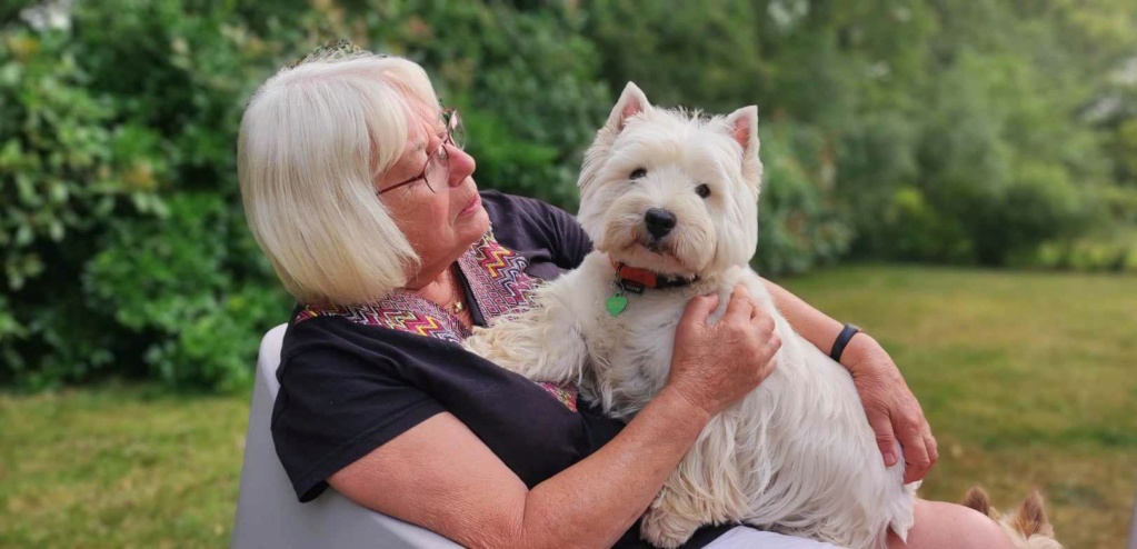 ATHOS Westie de 6 ans 35725110