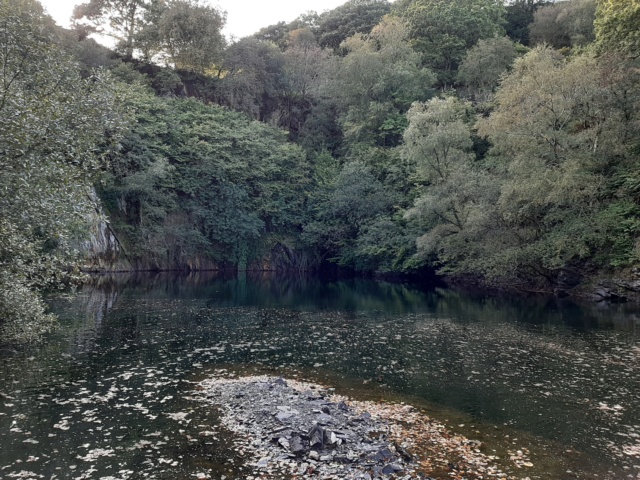 And Another New Pond  20190918