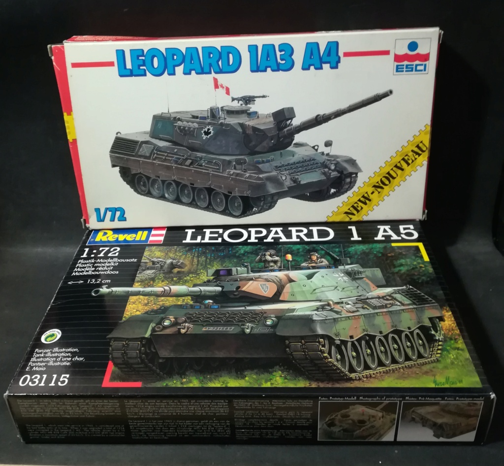 Leopard 1a5dk - Bosnie 1994 - Terminé Img_2554