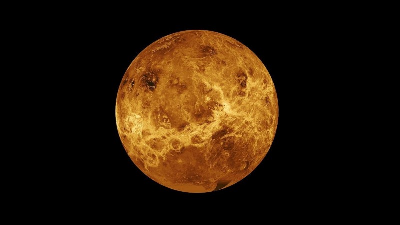VENUS - Vénus Rétro 2020 - Page 8 Venus-13