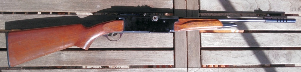 Une carabine inconnue SSP ou MSP 4.5mm Img_2052