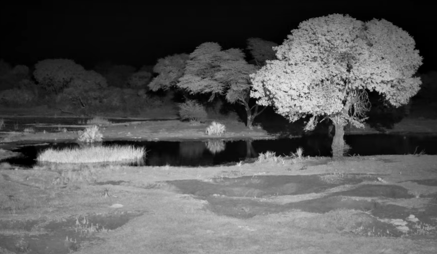 Tembe Live Web Cam Night_10