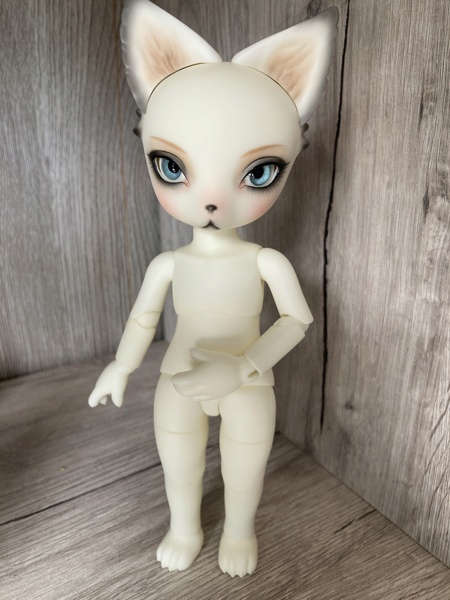 [VENTE] DEARMINE renards * ROY ws * OZ tan * OZ ws  Img_2826