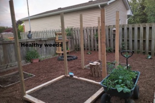 Square Foot Gardening on Ontario's West Coast Northe11