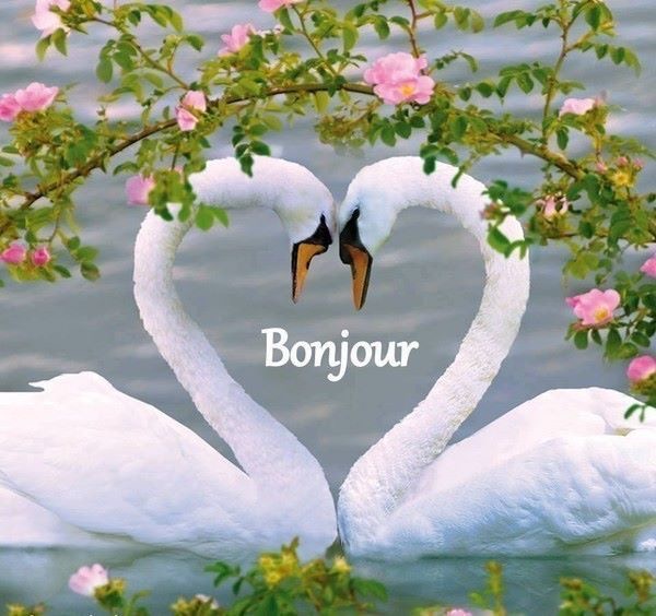 Dimanche12 Mai 2019... 1ba02310