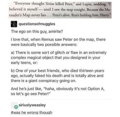 [Saga] Harry Potter - Page 5 Tumblr13