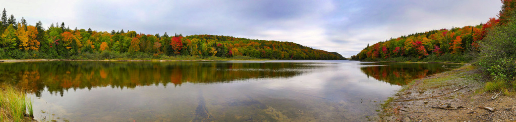 Les couleurs de l'automne  150010