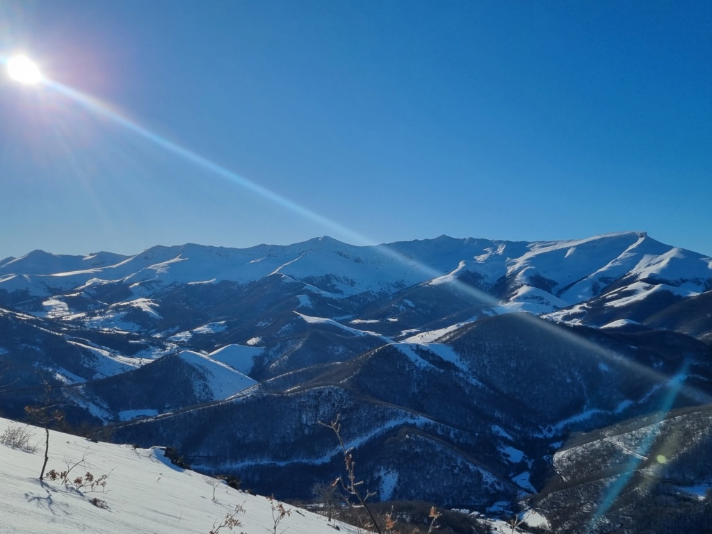 Topic:Deportes de Montaña..Escalada, Senderismo,Barranquismo....... - Página 3 20230210