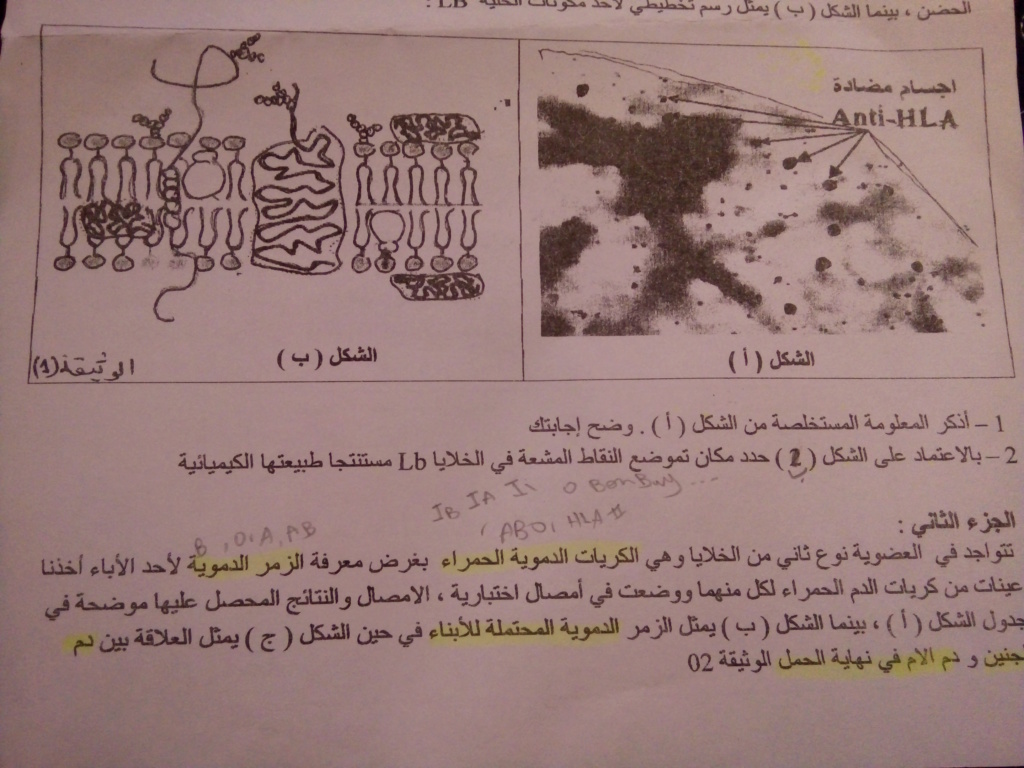 اختبارات الفصل الاول في جميع المواد 2020 P_107513