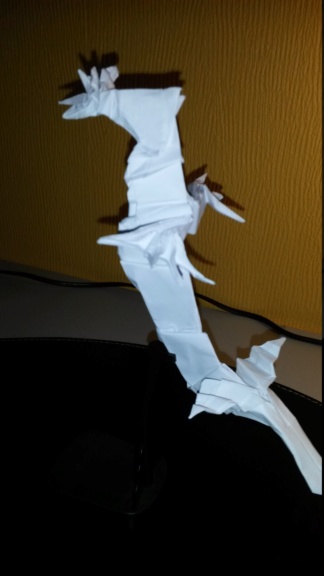 Passe temps l’origami ? 20160511