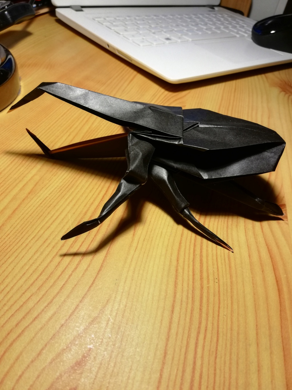 Passe temps l’origami ? Img_2027