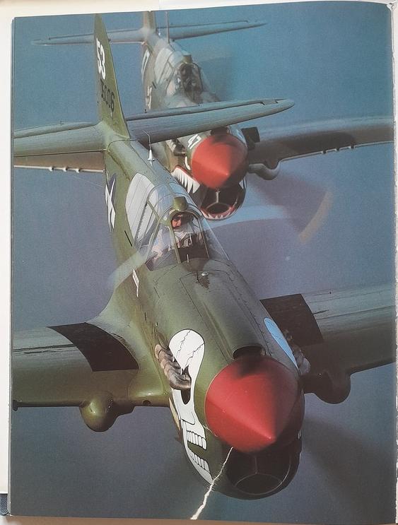 [Hasegawa] 1/32 - Curtiss P-40E Kittyhawk   - Page 6 20240438
